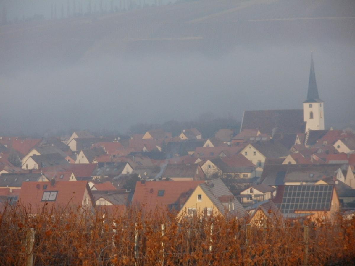 Gaestehof - Weinbau Saeger Нордхайм Экстерьер фото